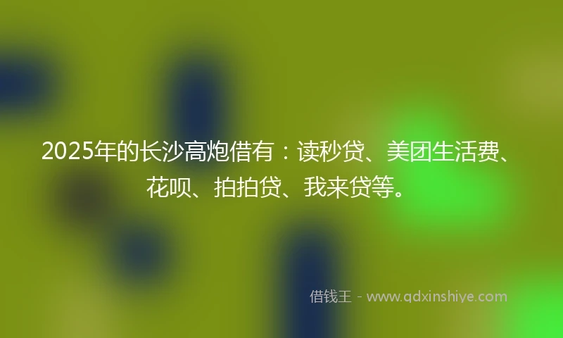 2025年的长沙高炮借有：读秒贷、美团生活费、花呗、拍拍贷、我来贷等。