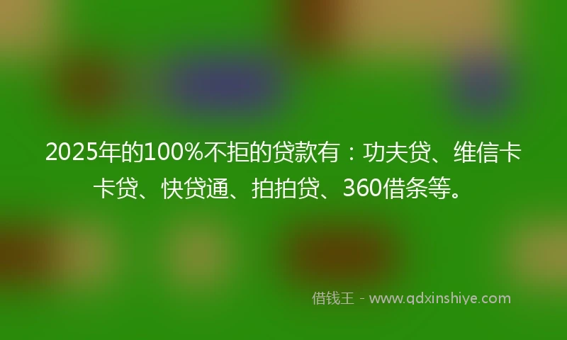 2025年的100%不拒的贷款有：功夫贷、维信卡卡贷、快贷通、拍拍贷、360借条等。