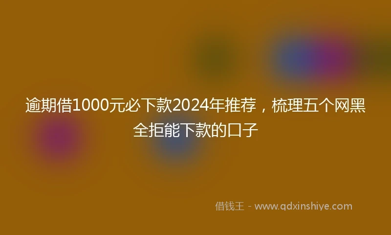 逾期借1000元必下款2024年推荐，梳理五个网黑全拒能下款的口子