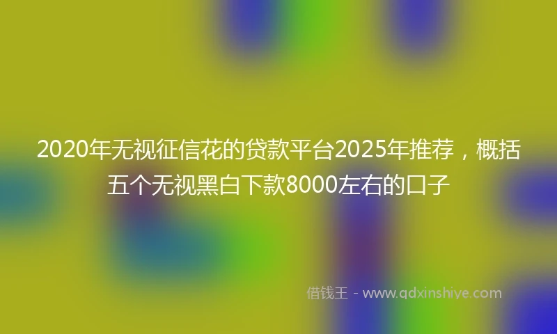 2020年无视征信花的贷款平台2025年推荐，概括五个无视黑白下款8000左右的口子