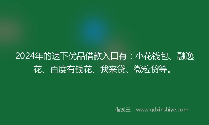 2024年的速下优品借款入口有：小花钱包、融逸花、百度有钱花、我来贷、微粒贷等。