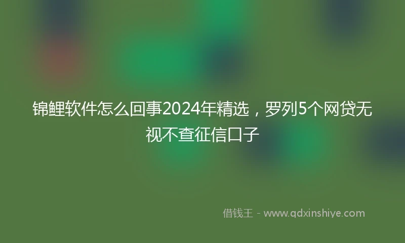锦鲤软件怎么回事2024年精选，罗列5个网贷无视不查征信口子