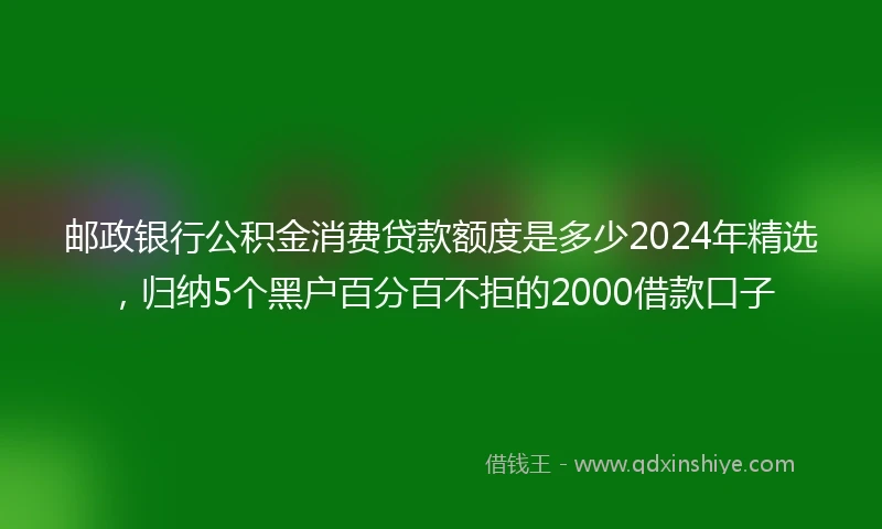 邮政银行公积金消费贷款额度是多少2024年精选，归纳5个黑户百分百不拒的2000借款口子