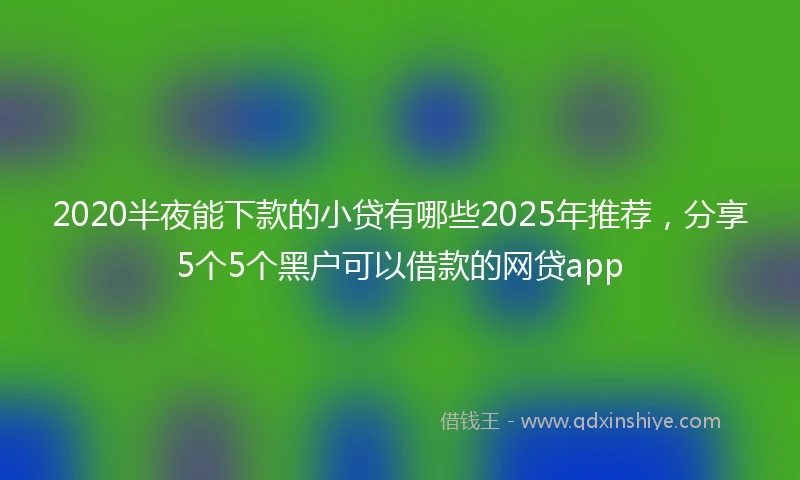 2020半夜能下款的小贷有哪些2025年推荐，分享5个5个黑户可以借款的网贷app