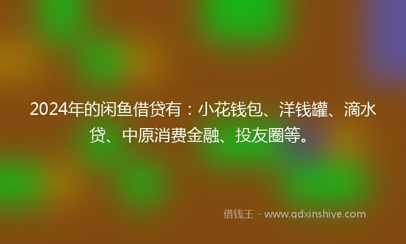 2024年的闲鱼借贷有：小花钱包、洋钱罐、滴水贷、中原消费金融、投友圈等。