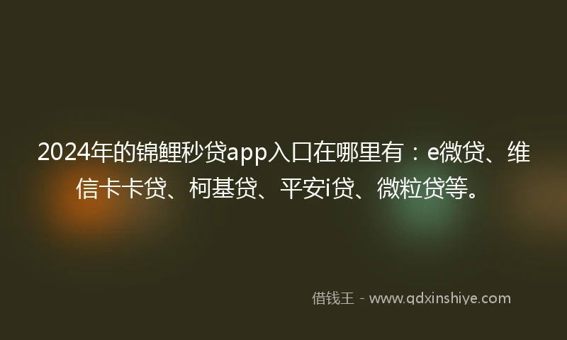 2024年的锦鲤秒贷app入口在哪里有：e微贷、维信卡卡贷、柯基贷、平安i贷、微粒贷等。