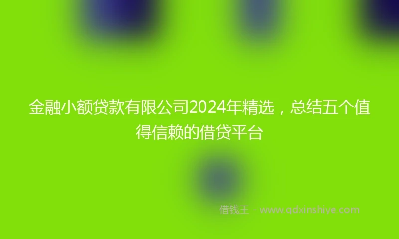 金融小额贷款有限公司2024年精选，总结五个值得信赖的借贷平台