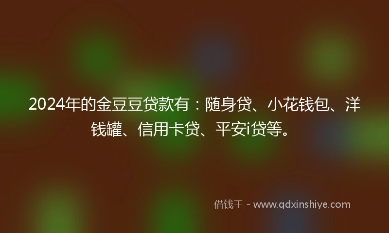 2024年的金豆豆贷款有：随身贷、小花钱包、洋钱罐、信用卡贷、平安i贷等。