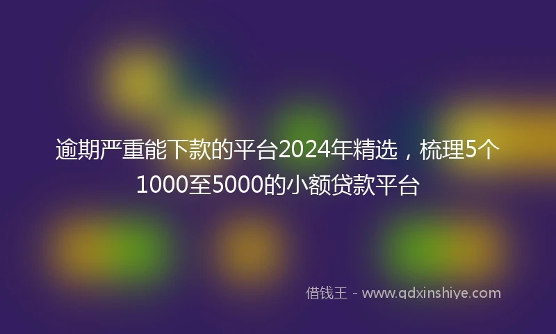 逾期严重能下款的平台2024年精选，梳理5个1000至5000的小额贷款平台
