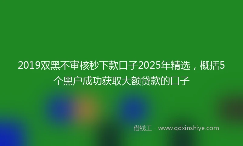 2019双黑不审核秒下款口子2025年精选，概括5个黑户成功获取大额贷款的口子