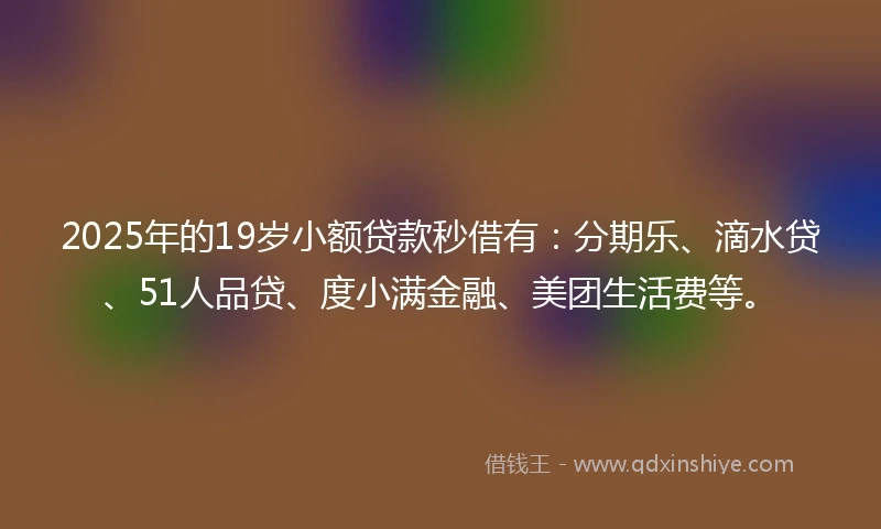 2025年的19岁小额贷款秒借有：分期乐、滴水贷、51人品贷、度小满金融、美团生活费等。