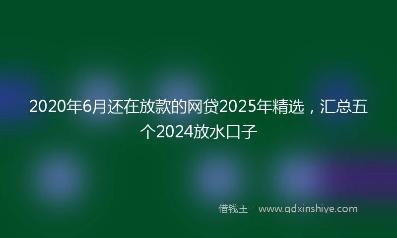 2020年6月还在放款的网贷2025年精选，汇总五个2024放水口子