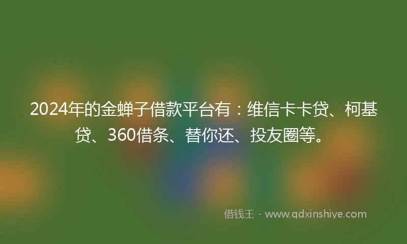 2024年的金蝉子借款平台有：维信卡卡贷、柯基贷、360借条、替你还、投友圈等。