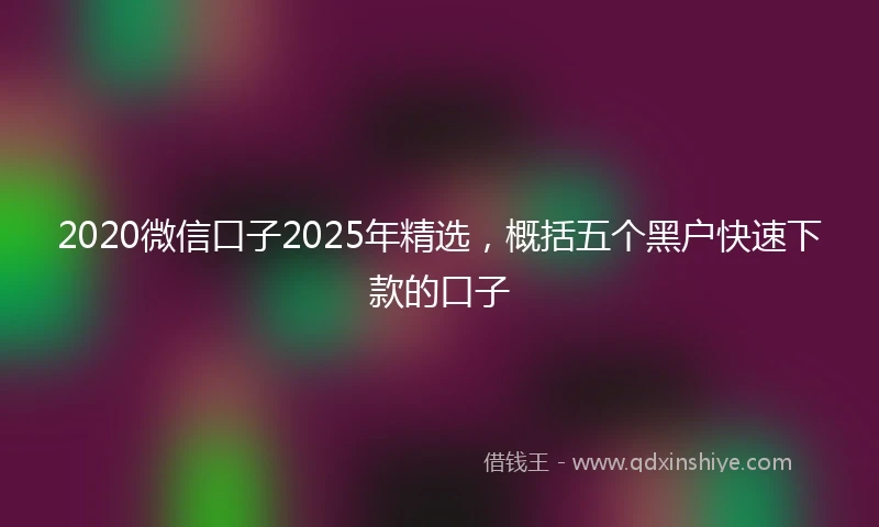 2020微信口子2025年精选，概括五个黑户快速下款的口子