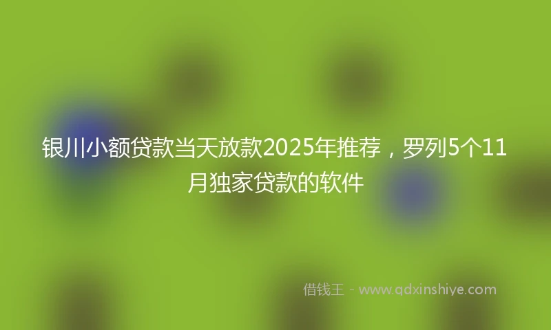 银川小额贷款当天放款2025年推荐，罗列5个11月独家贷款的软件