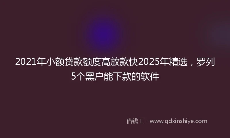2021年小额贷款额度高放款快2025年精选，罗列5个黑户能下款的软件