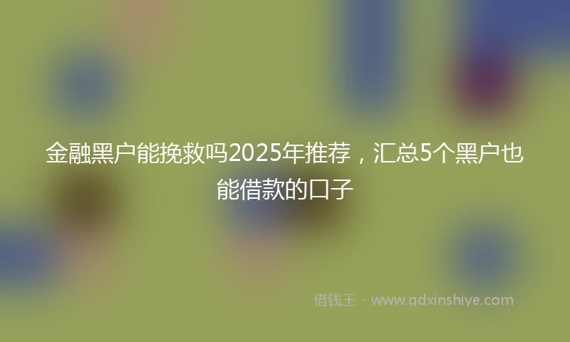 金融黑户能挽救吗2025年推荐，汇总5个黑户也能借款的口子
