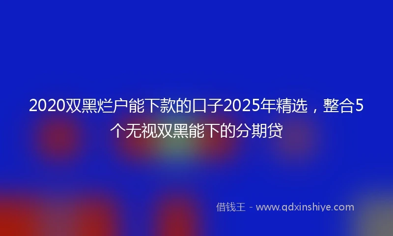 2020双黑烂户能下款的口子2025年精选，整合5个无视双黑能下的分期贷