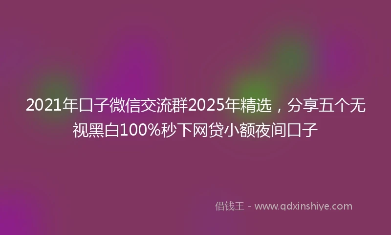 2021年口子微信交流群2025年精选，分享五个无视黑白100%秒下网贷小额夜间口子
