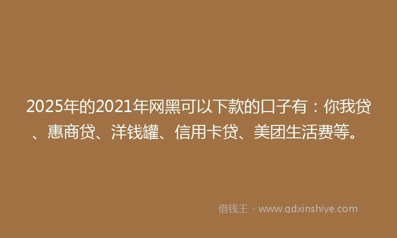 2025年的2021年网黑可以下款的口子有：你我贷、惠商贷、洋钱罐、信用卡贷、美团生活费等。