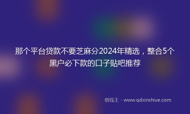 那个平台贷款不要芝麻分2024年精选，整合5个黑户必下款的口子贴吧推荐
