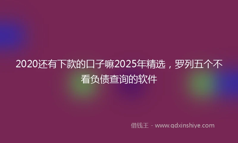 2020还有下款的口子嘛2025年精选，罗列五个不看负债查询的软件