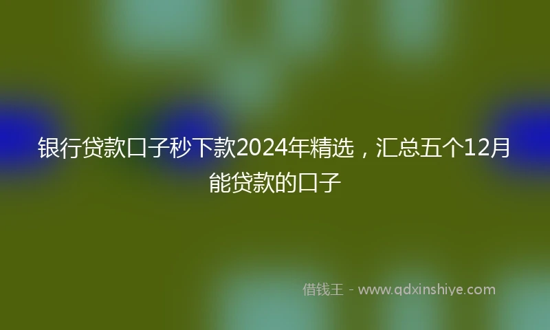 银行贷款口子秒下款2024年精选，汇总五个12月能贷款的口子