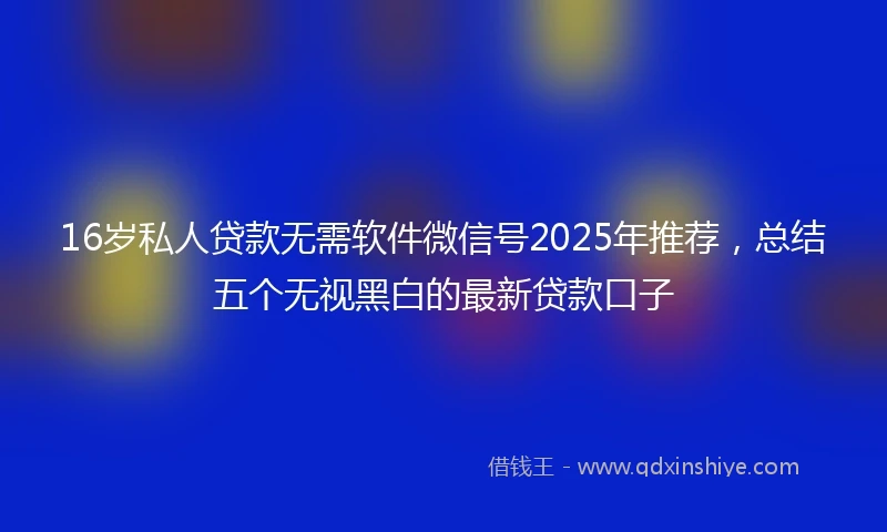 16岁私人贷款无需软件微信号2025年推荐，总结五个无视黑白的最新贷款口子