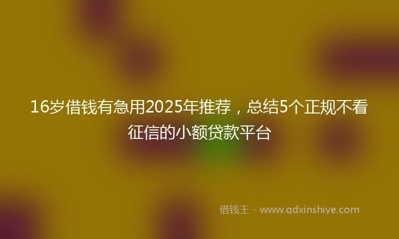 16岁借钱有急用2025年推荐，总结5个正规不看征信的小额贷款平台
