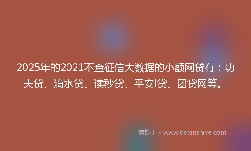 2025年的2021不查征信大数据的小额网贷有：功夫贷、滴水贷、读秒贷、平安i贷、团贷网等。