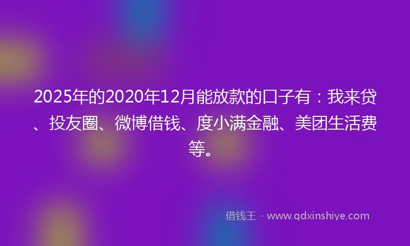 2025年的2020年12月能放款的口子有：我来贷、投友圈、微博借钱、度小满金融、美团生活费等。