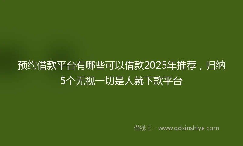 预约借款平台有哪些可以借款2025年推荐，归纳5个无视一切是人就下款平台