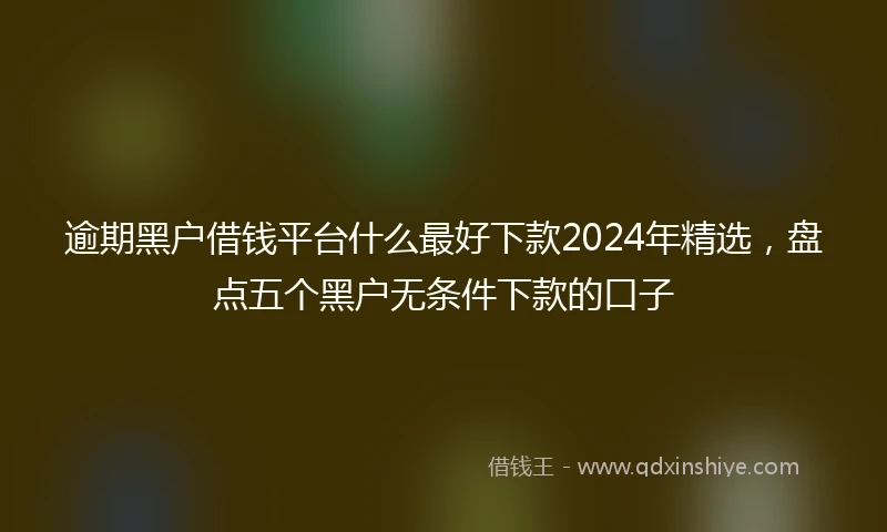 逾期黑户借钱平台什么最好下款2024年精选，盘点五个黑户无条件下款的口子