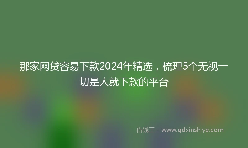 那家网贷容易下款2024年精选，梳理5个无视一切是人就下款的平台