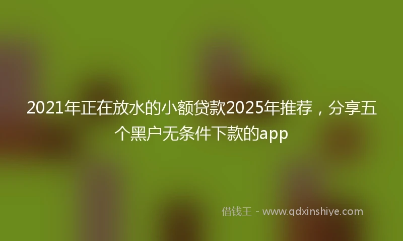 2021年正在放水的小额贷款2025年推荐，分享五个黑户无条件下款的app
