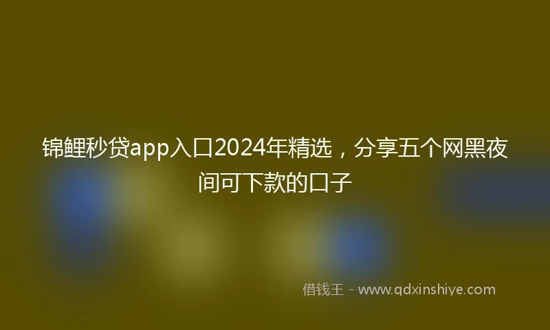 锦鲤秒贷app入口2024年精选，分享五个网黑夜间可下款的口子