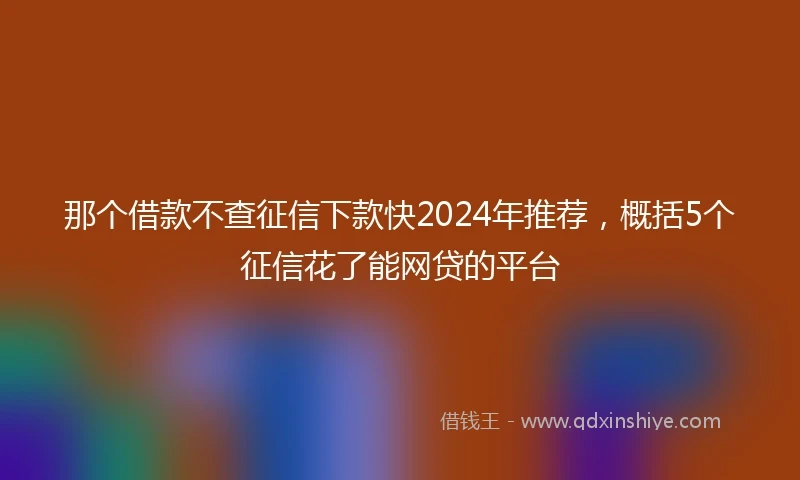 那个借款不查征信下款快2024年推荐，概括5个征信花了能网贷的平台