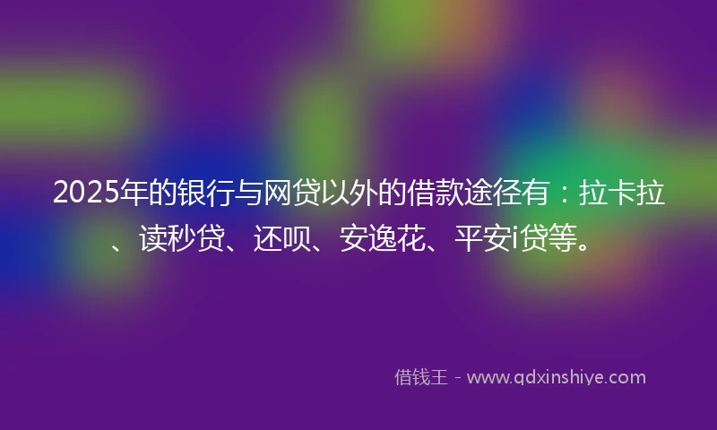 2025年的银行与网贷以外的借款途径有：拉卡拉、读秒贷、还呗、安逸花、平安i贷等。