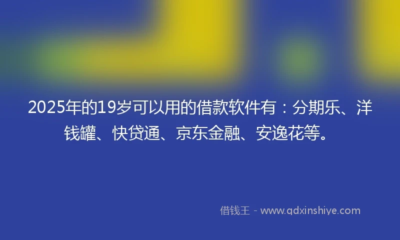 2025年的19岁可以用的借款软件有：分期乐、洋钱罐、快贷通、京东金融、安逸花等。