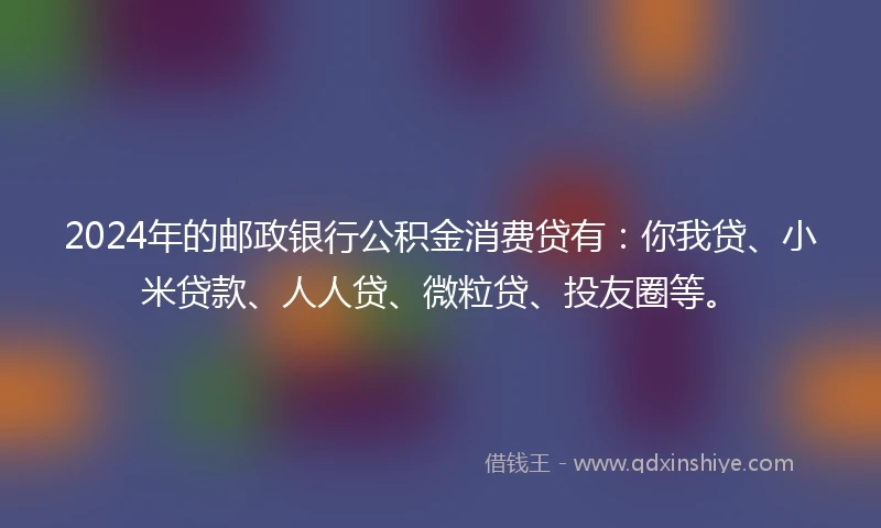 2024年的邮政银行公积金消费贷有：你我贷、小米贷款、人人贷、微粒贷、投友圈等。