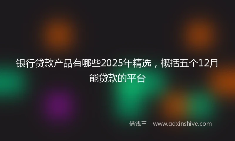 银行贷款产品有哪些2025年精选，概括五个12月能贷款的平台