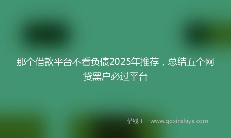 那个借款平台不看负债2025年推荐，总结五个网贷黑户必过平台