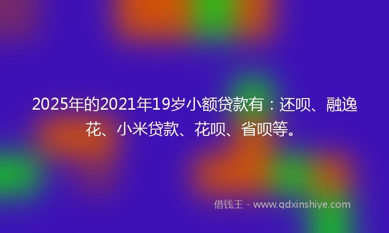 2025年的2021年19岁小额贷款有：还呗、融逸花、小米贷款、花呗、省呗等。