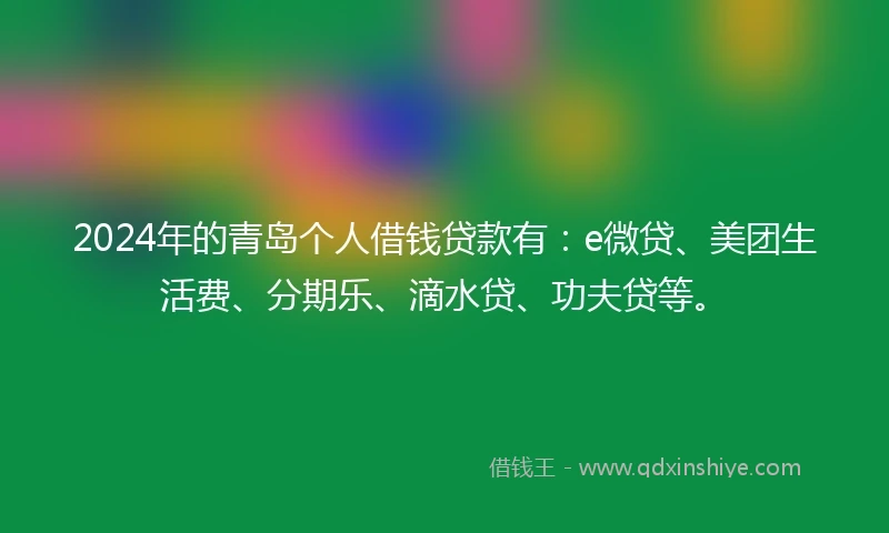 2024年的青岛个人借钱贷款有：e微贷、美团生活费、分期乐、滴水贷、功夫贷等。