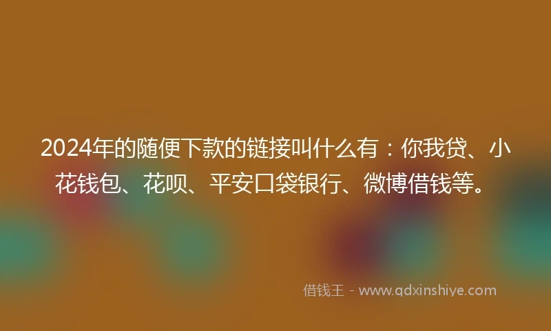 2024年的随便下款的链接叫什么有：你我贷、小花钱包、花呗、平安口袋银行、微博借钱等。