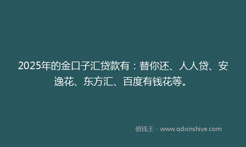 2025年的金口子汇贷款有：替你还、人人贷、安逸花、东方汇、百度有钱花等。