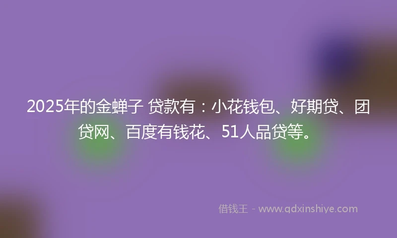 2025年的金蝉子 贷款有：小花钱包、好期贷、团贷网、百度有钱花、51人品贷等。