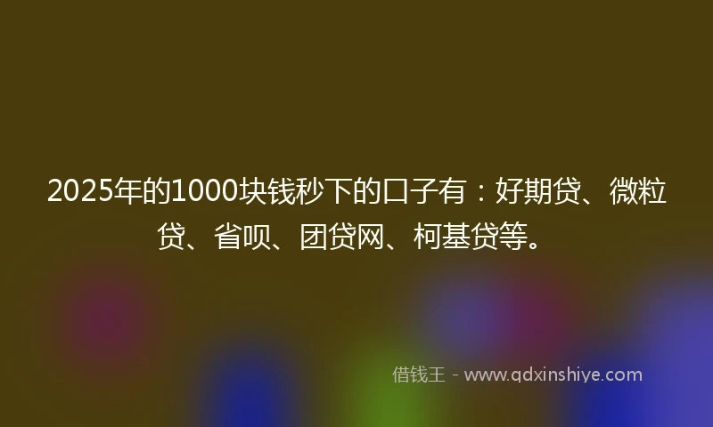 2025年的1000块钱秒下的口子有：好期贷、微粒贷、省呗、团贷网、柯基贷等。