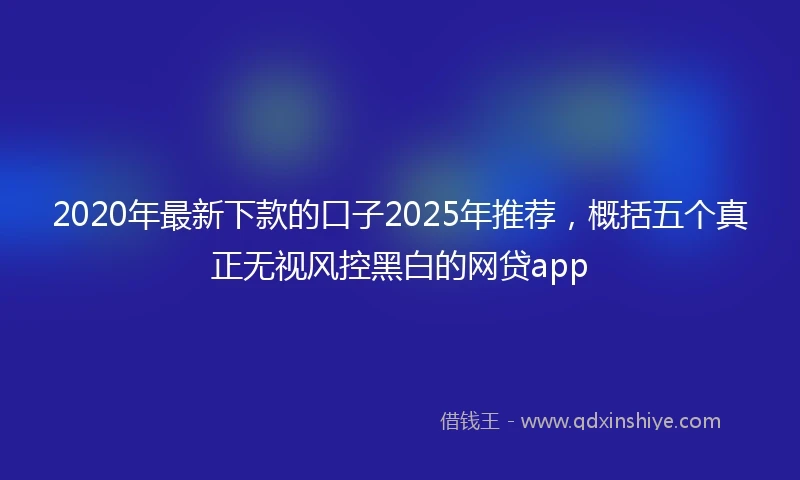 2020年最新下款的口子2025年推荐，概括五个真正无视风控黑白的网贷app