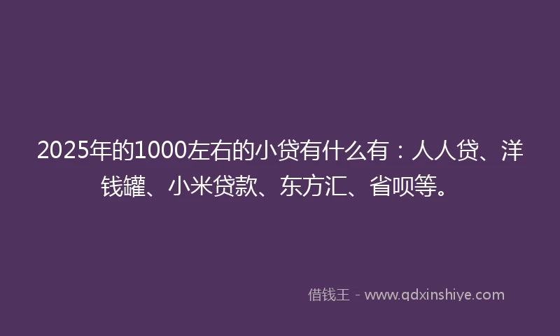 2025年的1000左右的小贷有什么有：人人贷、洋钱罐、小米贷款、东方汇、省呗等。